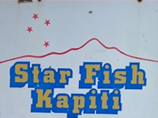 Star Fish Company logo